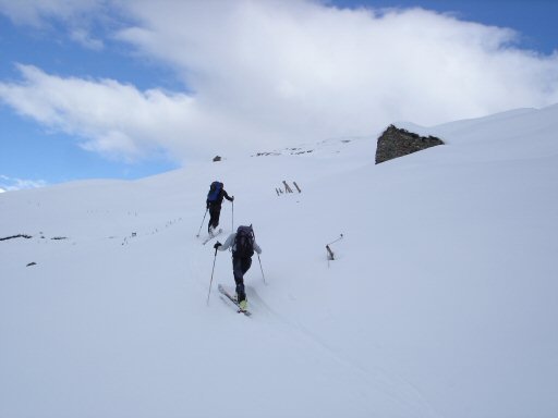 L&#039;Ouille Allegra